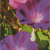 Pink And Purple Flowers Diamond Painting