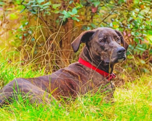 Plott Hound Diamond Painting