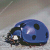 Purple Ladybug Diamond Painting