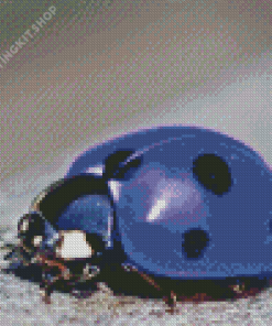 Purple Ladybug Diamond Painting