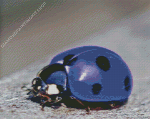 Purple Ladybug Diamond Painting