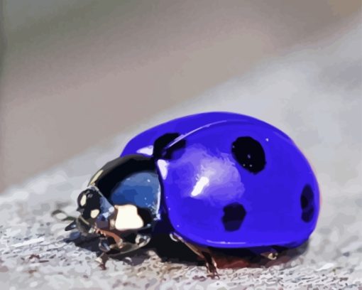 Purple Ladybug Diamond Painting