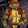 Raphael Art Diamond Painting