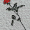 Red Rose In Snow Diamond Painting