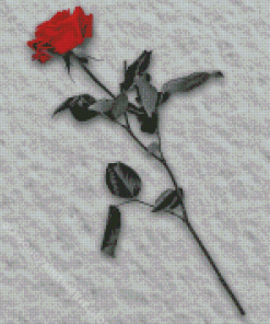 Red Rose In Snow Diamond Painting