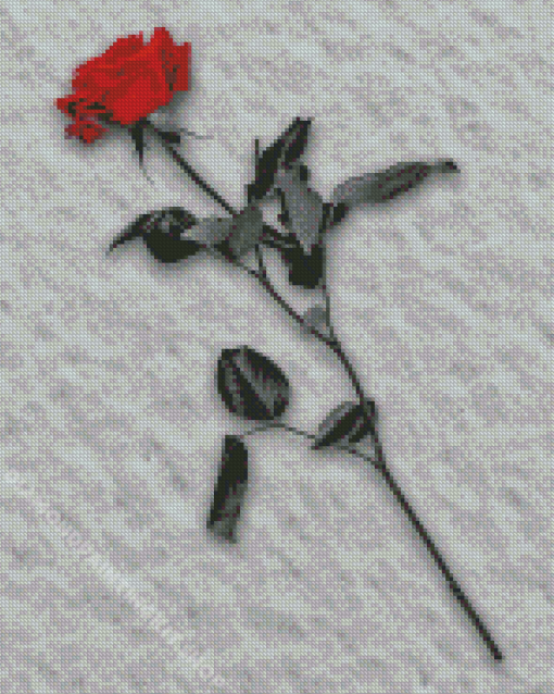 Red Rose In Snow Diamond Painting