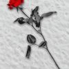 Red Rose In Snow Diamond Painting