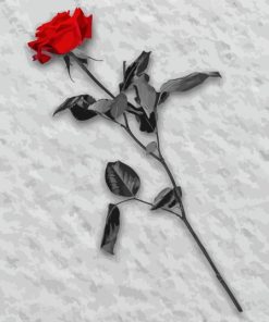 Red Rose In Snow Diamond Painting