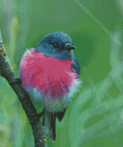 Rose Robin On Branch Diamond Painting