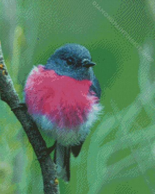 Rose Robin On Branch Diamond Painting