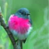 Rose Robin On Branch Diamond Painting