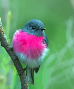 Rose Robin On Branch Diamond Painting