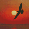 Seagull Silhouette And The Sun Diamond Painting