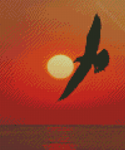 Seagull Silhouette And The Sun Diamond Painting