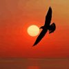 Seagull Silhouette And The Sun Diamond Painting