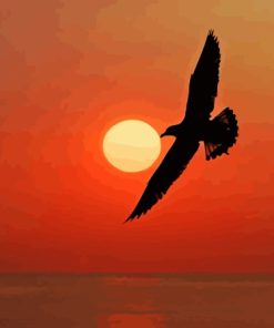 Seagull Silhouette And The Sun Diamond Painting