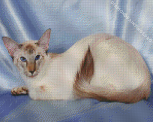 Siamese Oriental Diamond Painting