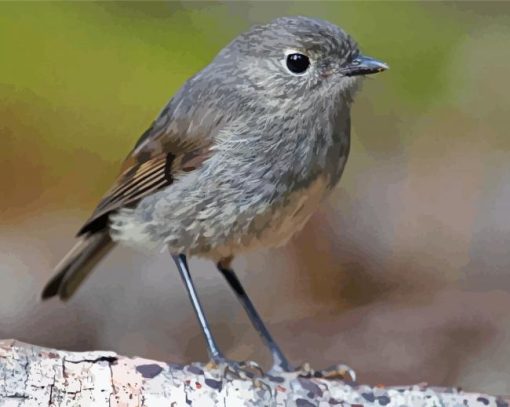 South Island Robin Diamond Painting