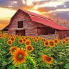 Sunflowers And Old Barn Diamond Painting