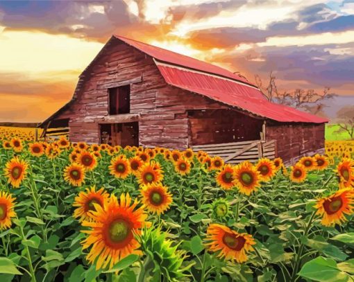 Sunflowers And Old Barn Diamond Painting