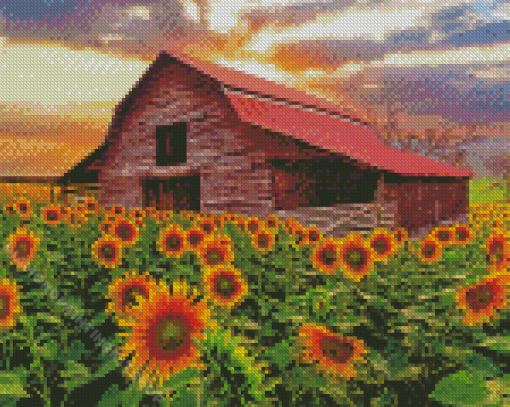 Sunflowers And Old Barn Diamond Painting