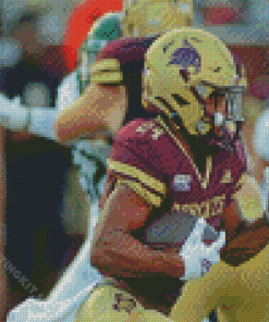 Texas State Bobcats Player Diamond Painting