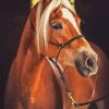 The Haflinger Horse Diamond Painting