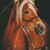 The Haflinger Horse Diamond Painting