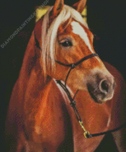 The Haflinger Horse Diamond Painting