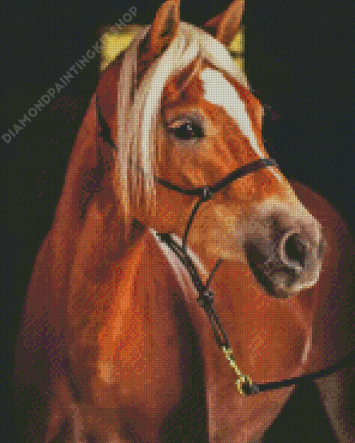 The Haflinger Horse Diamond Painting