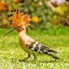 The Hoopoe Diamond Painting