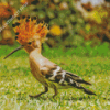 The Hoopoe Diamond Painting