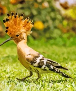 The Hoopoe Diamond Painting