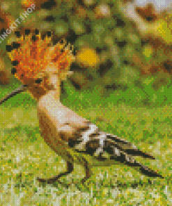 The Hoopoe Diamond Painting