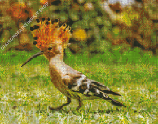 The Hoopoe Diamond Painting