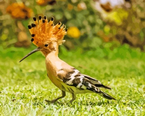 The Hoopoe Diamond Painting