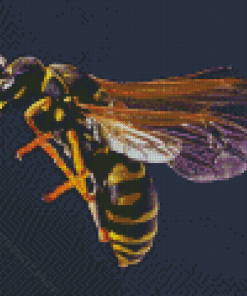 The Wasp Yellow Jacket Diamond Painting