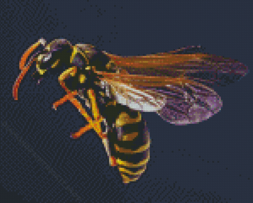 The Wasp Yellow Jacket Diamond Painting