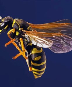 The Wasp Yellow Jacket Diamond Painting