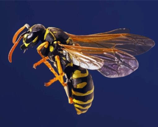 The Wasp Yellow Jacket Diamond Painting