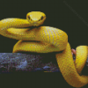 The Yellow Snake Diamond Painting