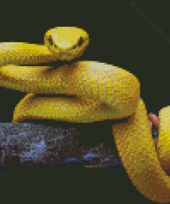 The Yellow Snake Diamond Painting