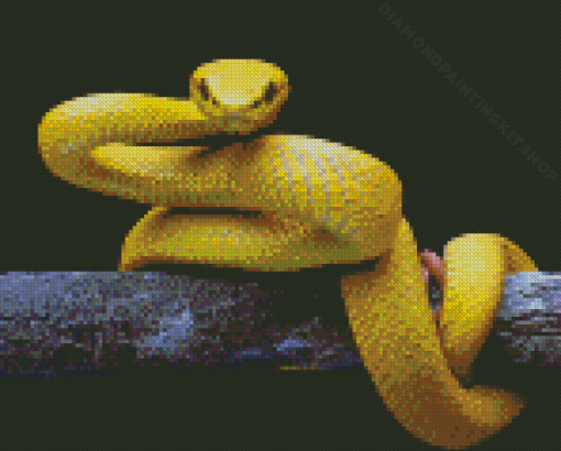 The Yellow Snake Diamond Painting