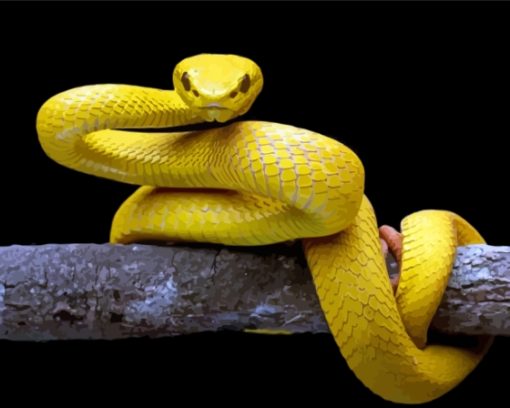 The Yellow Snake Diamond Painting