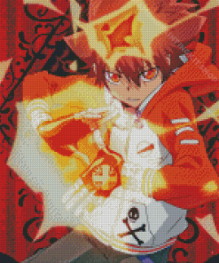 Tsunayoshi Sawada Art Diamond Painting