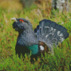 Western Capercaillie Diamond Painting