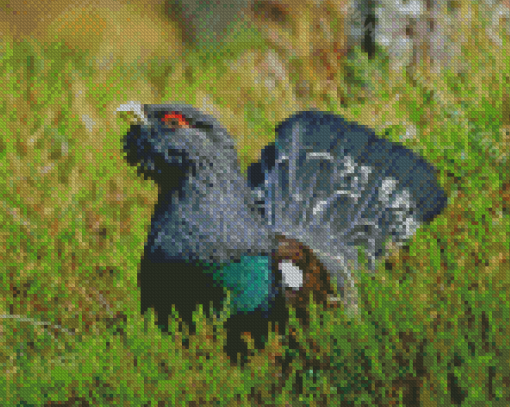 Western Capercaillie Diamond Painting