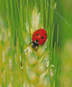 Wheat And Cute Ladybug Diamond Painting