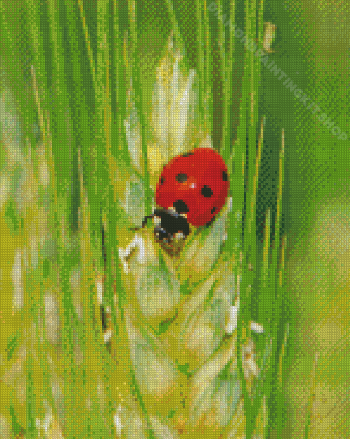 Wheat And Cute Ladybug Diamond Painting