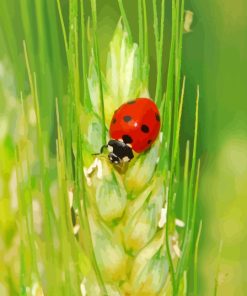 Wheat And Cute Ladybug Diamond Painting